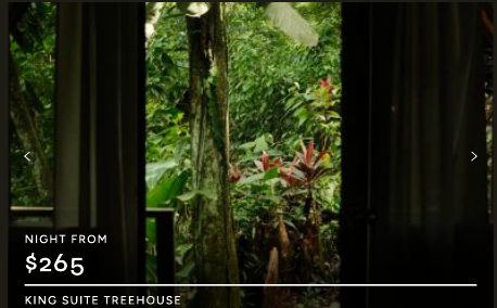 King Suite Treehouse