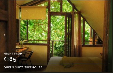 Queen Suite Treehouse